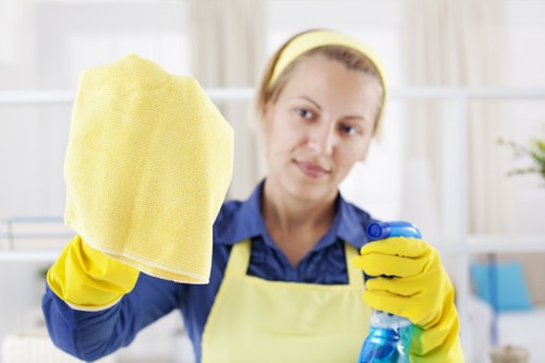 Deep mattress cleaning in Addington with hygienic results