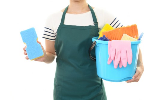 Addington carpet cleaners introducing their professional local service