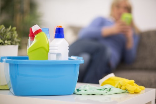 Cleaning pet urine stain and odour from upholstery in Addington