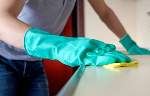 Technician performing deep upholstery cleaning on a couch
